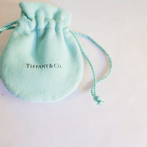 Tiffany & Co NEW Empty Blue Suede Pouch